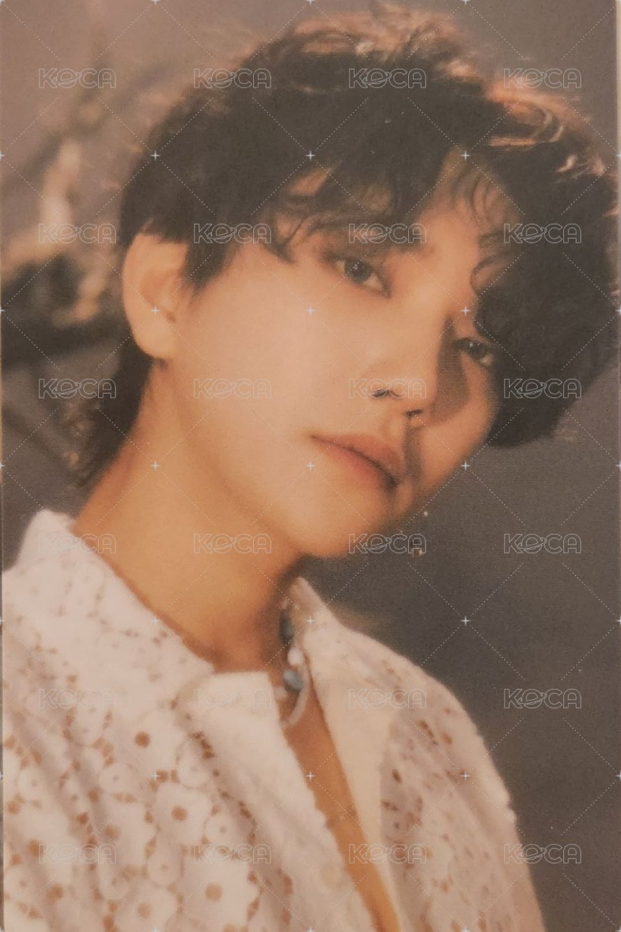 正四 專輯卡 WVS電子專ver. 正面