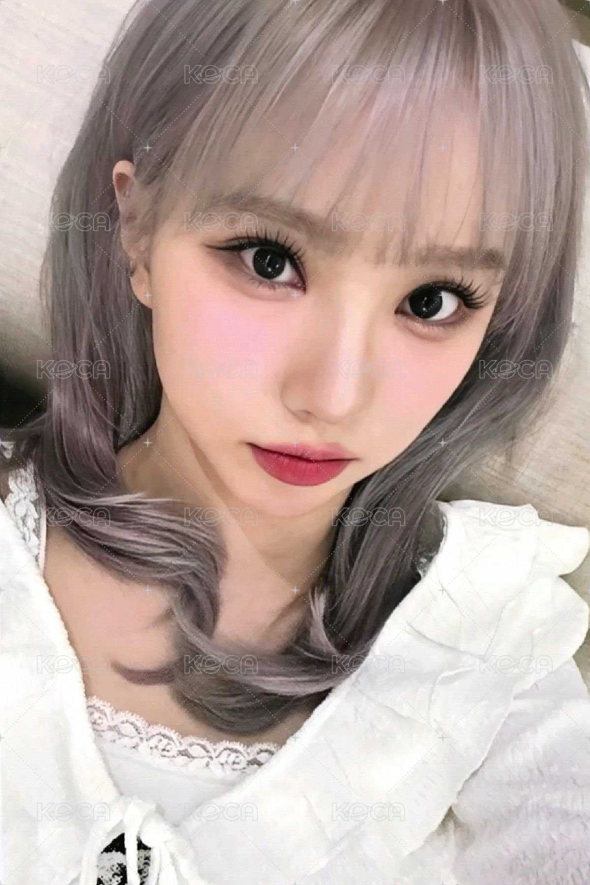 十週年專 wvs pb 特典卡 特別禮 正面