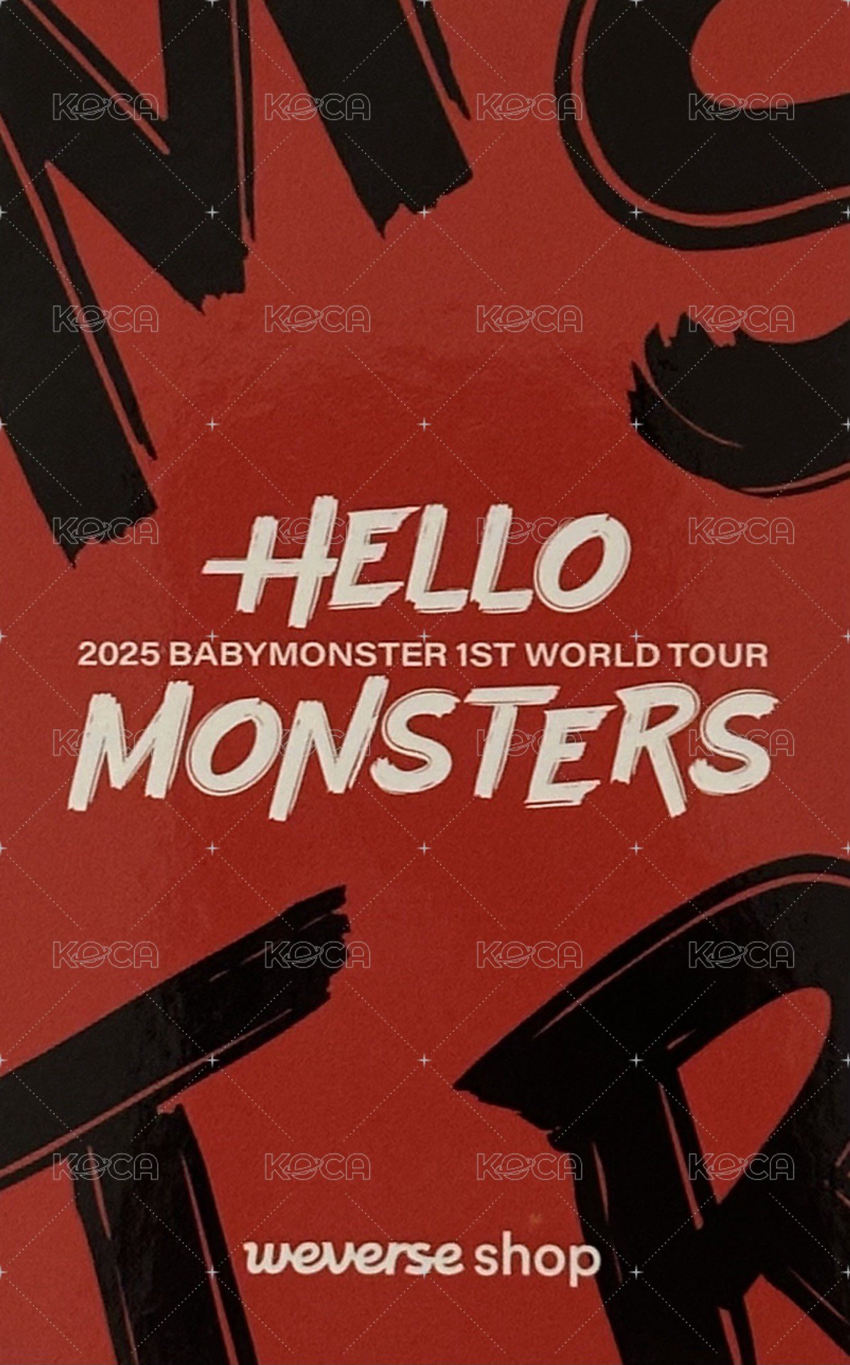 25’世巡 wvs 台北展位A 入場卡 / 場限卡 AHYEON 背面