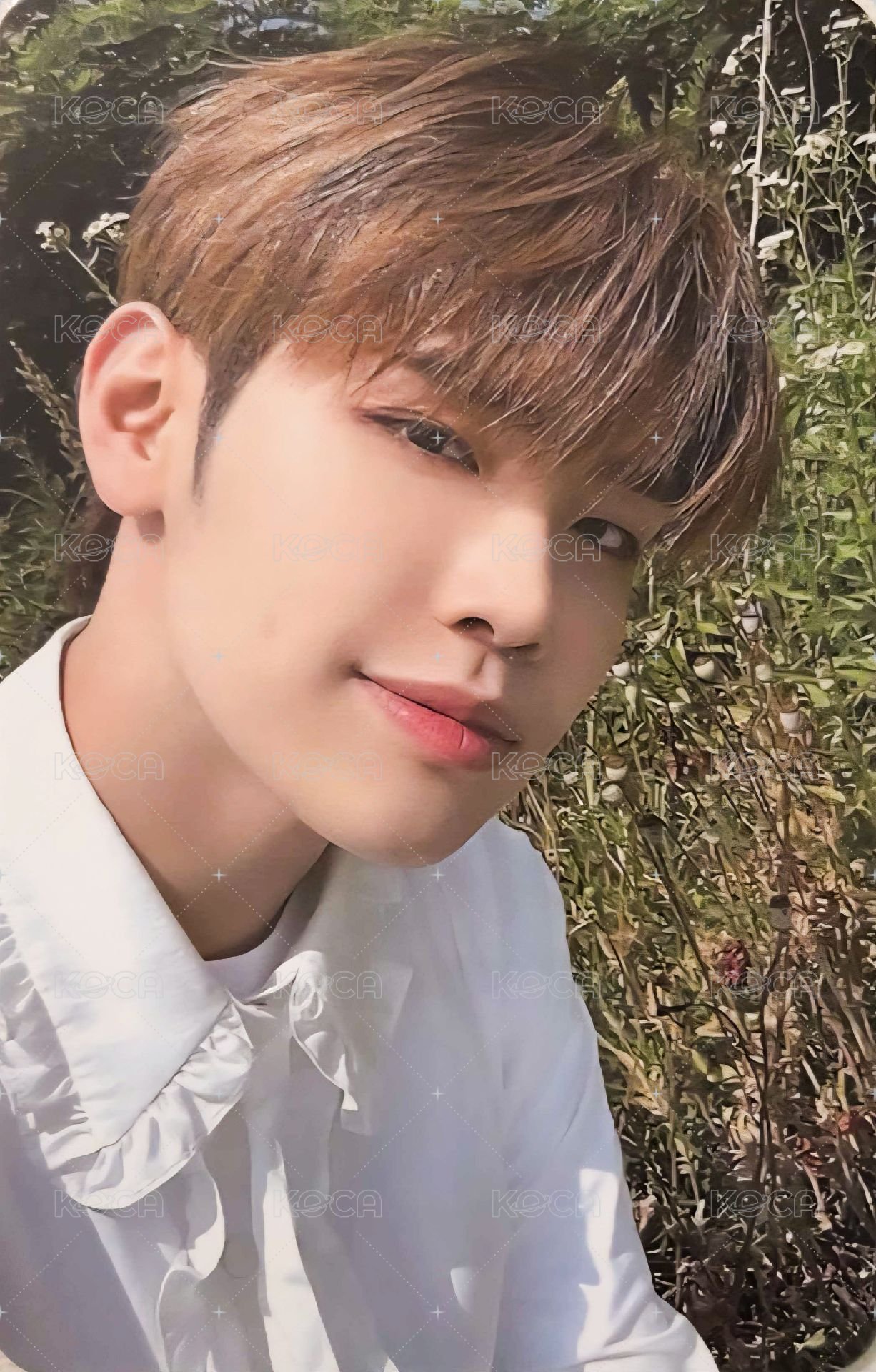 迷一 sw 2.0 幸運卡  正面