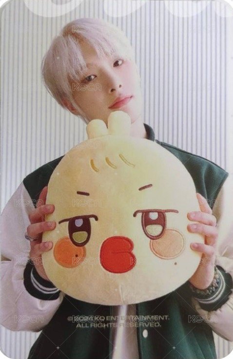 ANITEEZ IN ICE CITY 周邊卡 plush cushion 背面