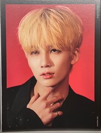 POL 寫真集 藍光DVD寫真卡