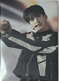 FOLLOW FELLOW 隨機卡 展覽