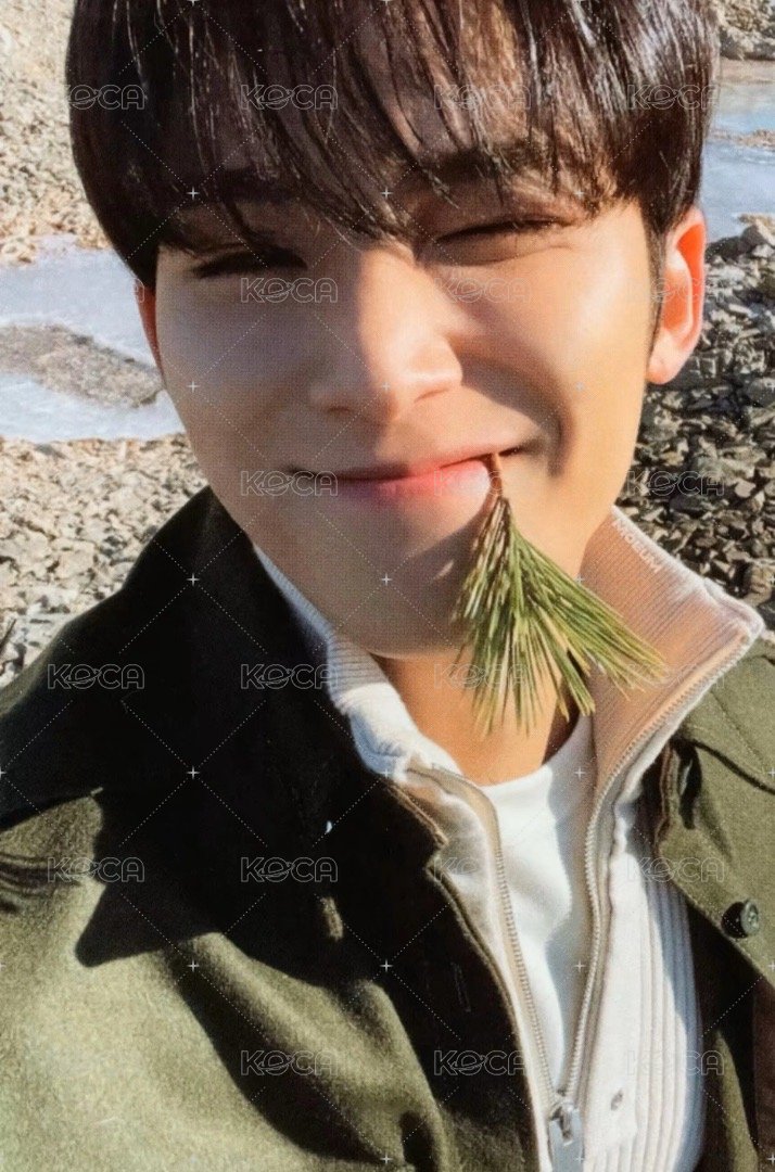 正四 專輯卡 正規四｜Ep.4 正面