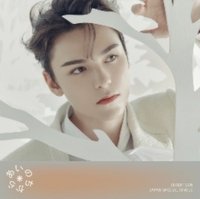 POL 專輯 VERNON封