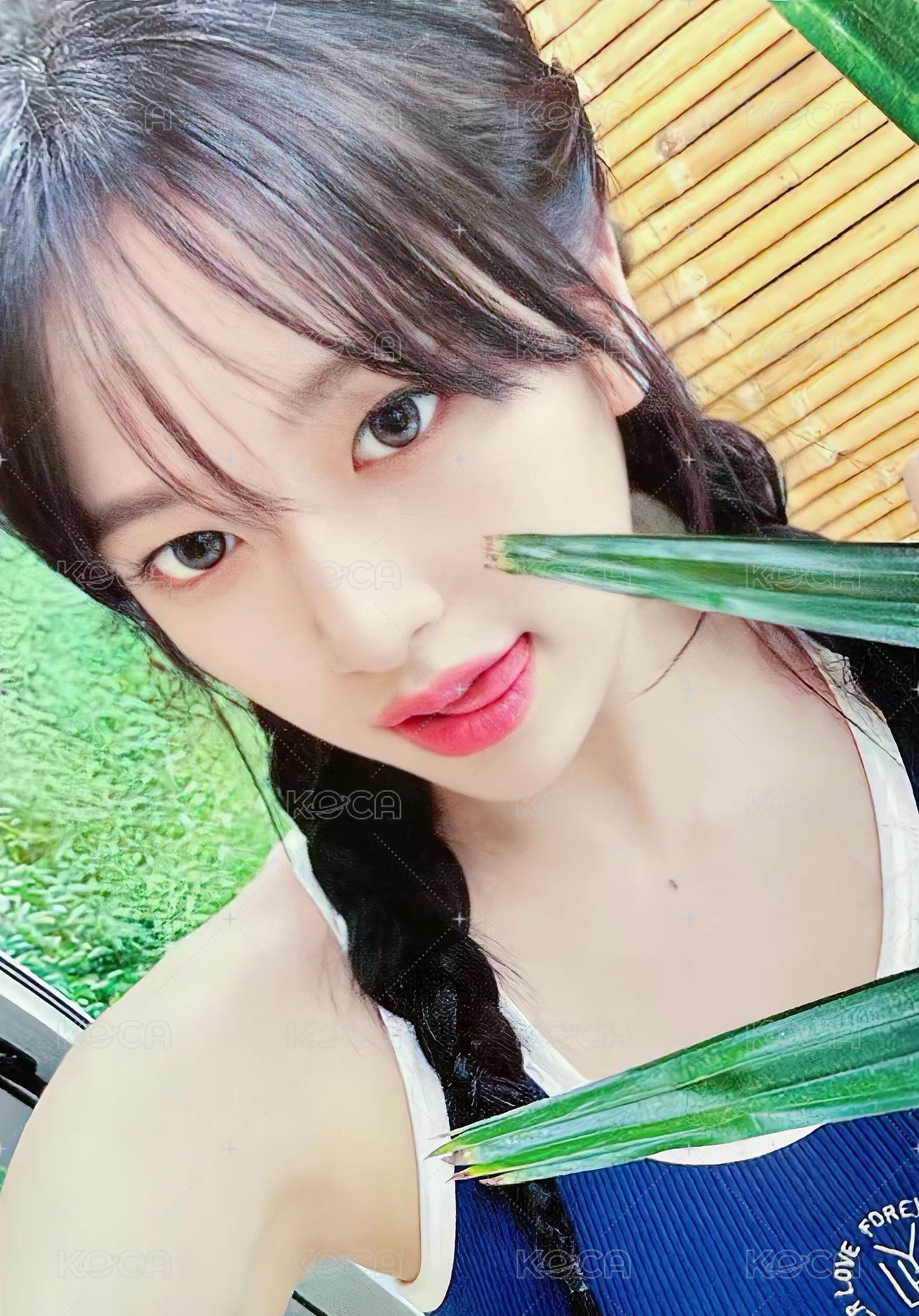 夏日寫真 船特 特典卡  正面