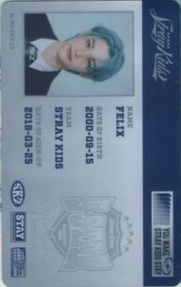 1st 日本巨蛋巡迴 周邊卡 首爾特別場ID卡