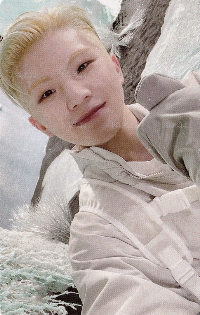 正四後續 專輯卡 正規四後續｜WVS電子專ver. 正面