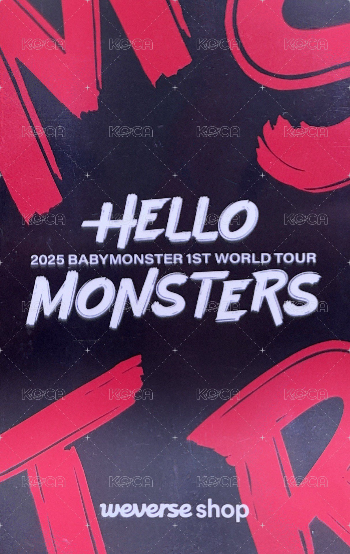 25’世巡 入場卡 / 場限卡 臺北場限卡 Ahyeon ver.C 背面