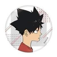 TOHO 徽章 幼年徽章