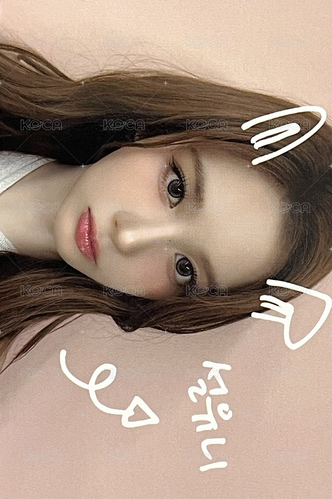 FORWARD ms 線上 5.0 簽售卡 寵物鏡頭薛 正面