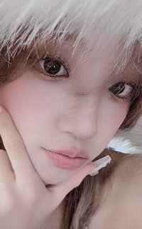 正規二 wvs 1.0 預售 特典卡 