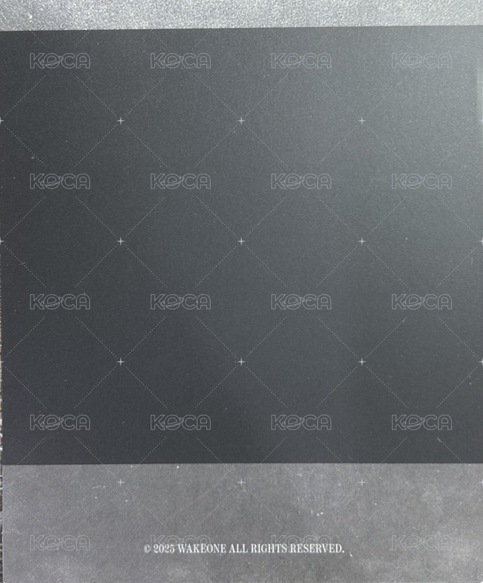 2025寫真 Plus Chat 拍立得 特典卡  背面