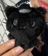 kurokuri