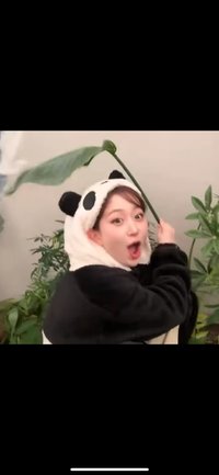 www