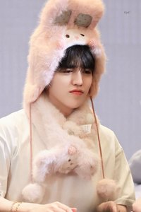 崔不發音૮₍ꐦ -᷅ ⤙ -᷄ ₎ა