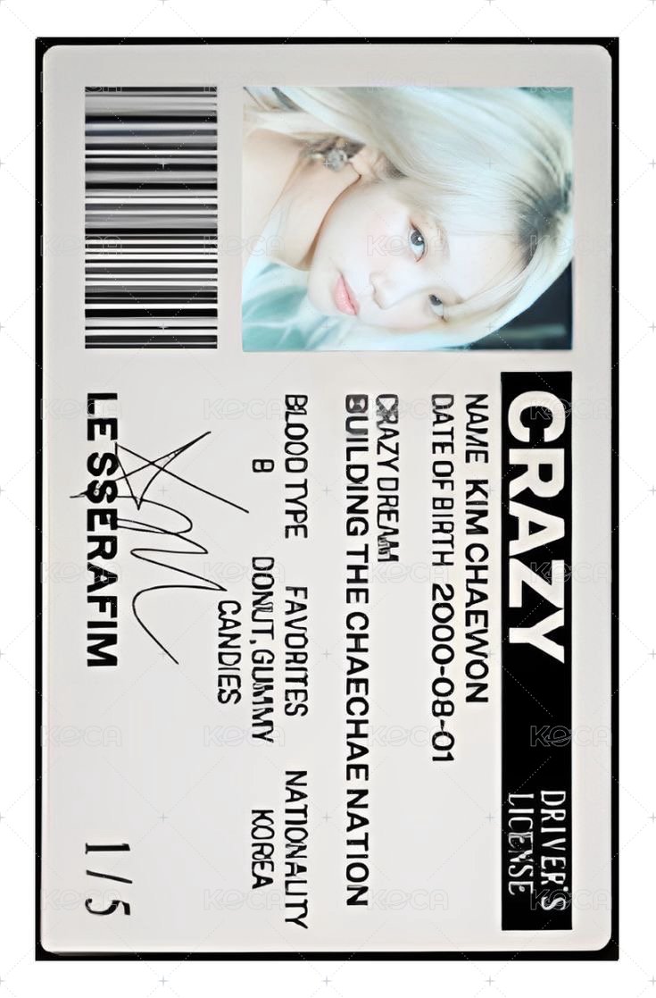 CRAZY 專輯卡 VOL.2 專卡 背面