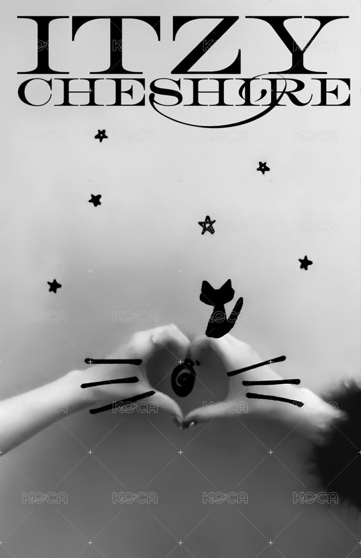 CHESHIRE 專輯卡 雙人卡 背面