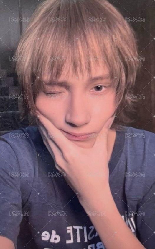 正四 wvs 預售 特典卡 單封 正面