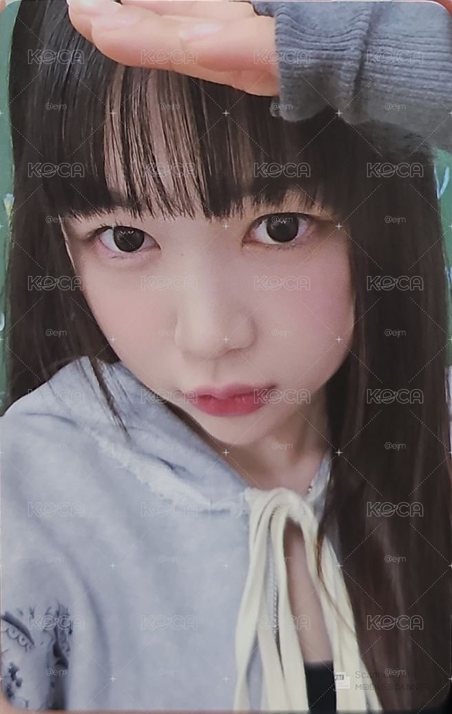 H2H WVS預售
