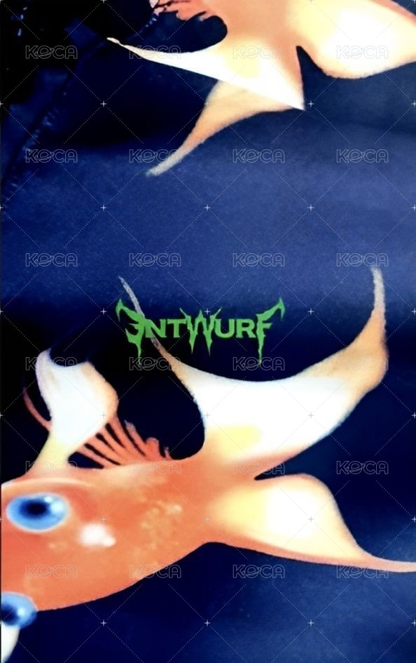 ENTWURF 專輯卡 限量版 變化卡 背面