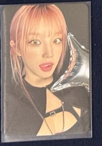 2024 世巡演唱會 隨機卡 琦1