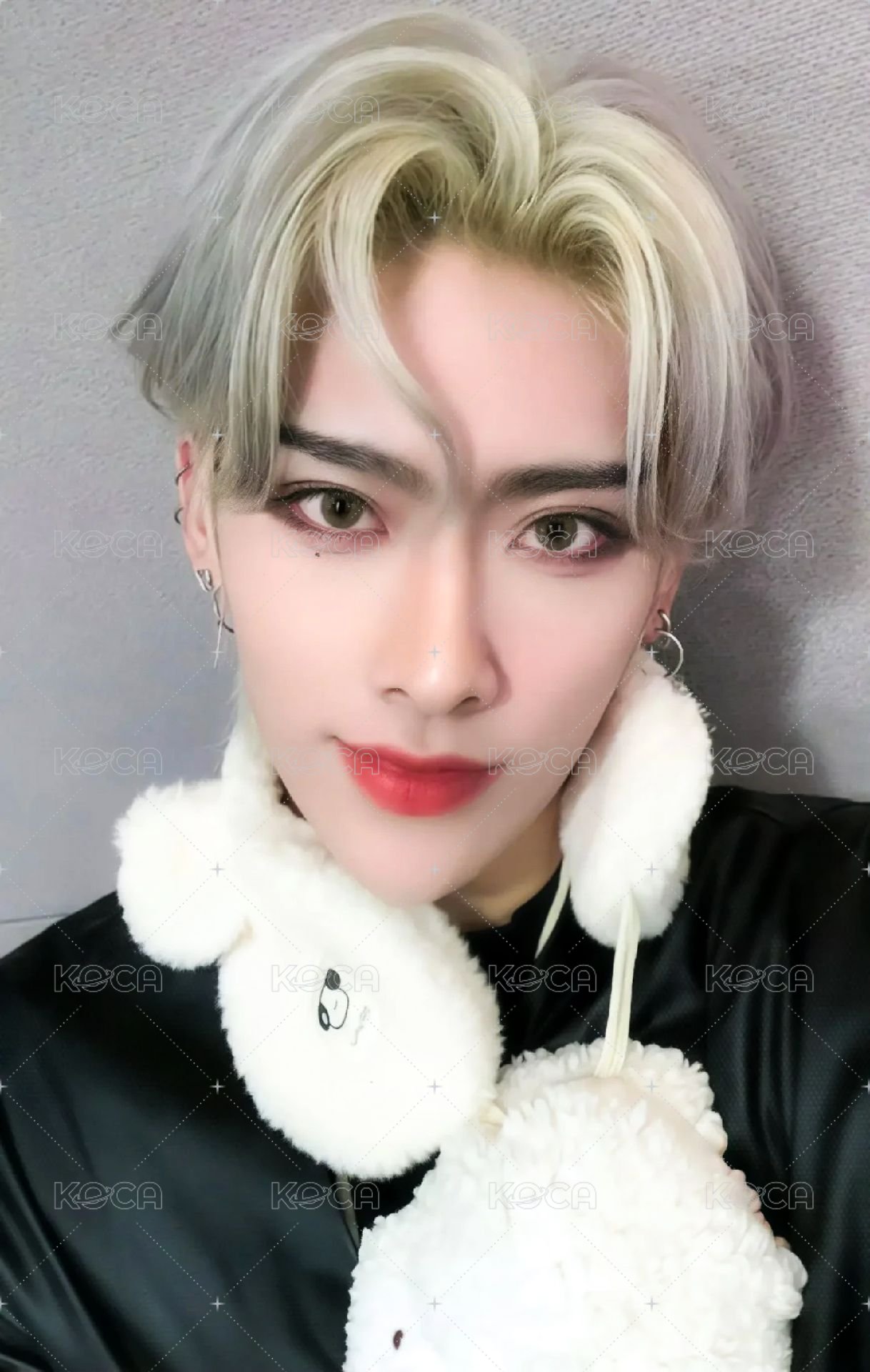 迷二 ms 特典卡 北極熊 ver. 正面