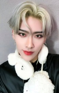 迷二 ms 特典卡 北極熊 ver.