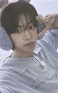 迷四 wvs 特典卡 Dingo Music