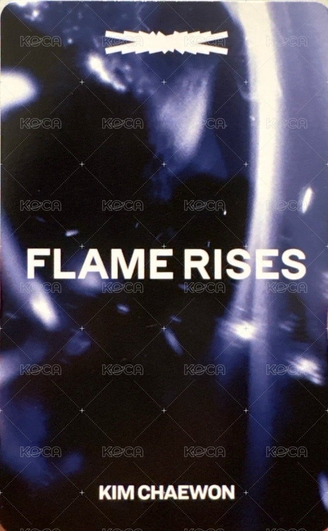 23‘亞巡 演唱會 DVD / CD 卡  背面