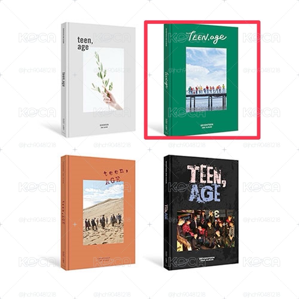 🤍SEVENTEEN TEEN,AGE 綠版全專 奎立牌+燦小卡