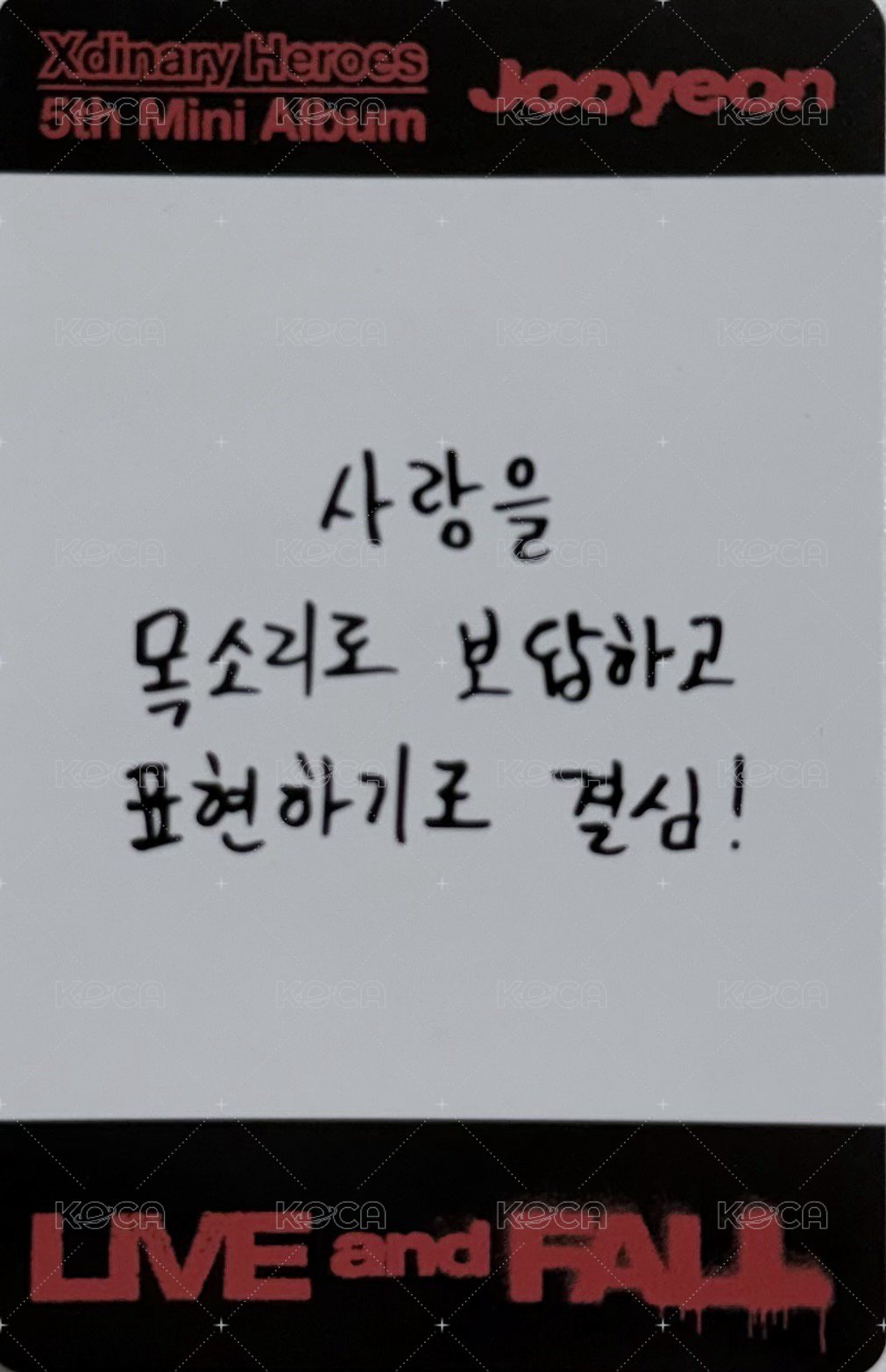 LIVE and FALL 專輯卡 FALL NEMO VER. 背面