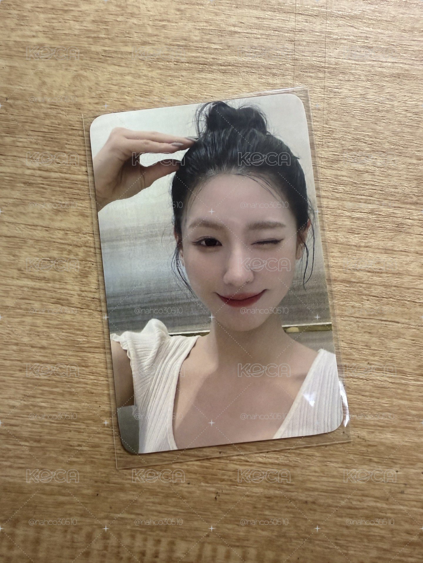 狗狗麵
