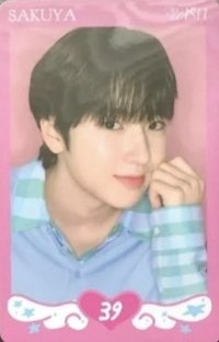 Steady 隨機卡 B版