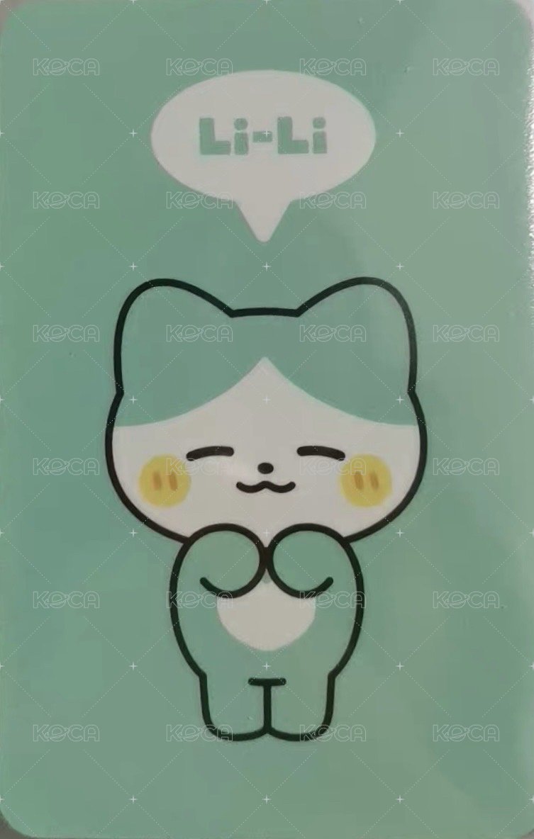 2024 FM 周邊卡 螢幕公仔卡 背面