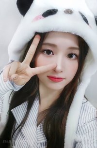 expérgo ms 2.0 幸運卡 熊貓薛