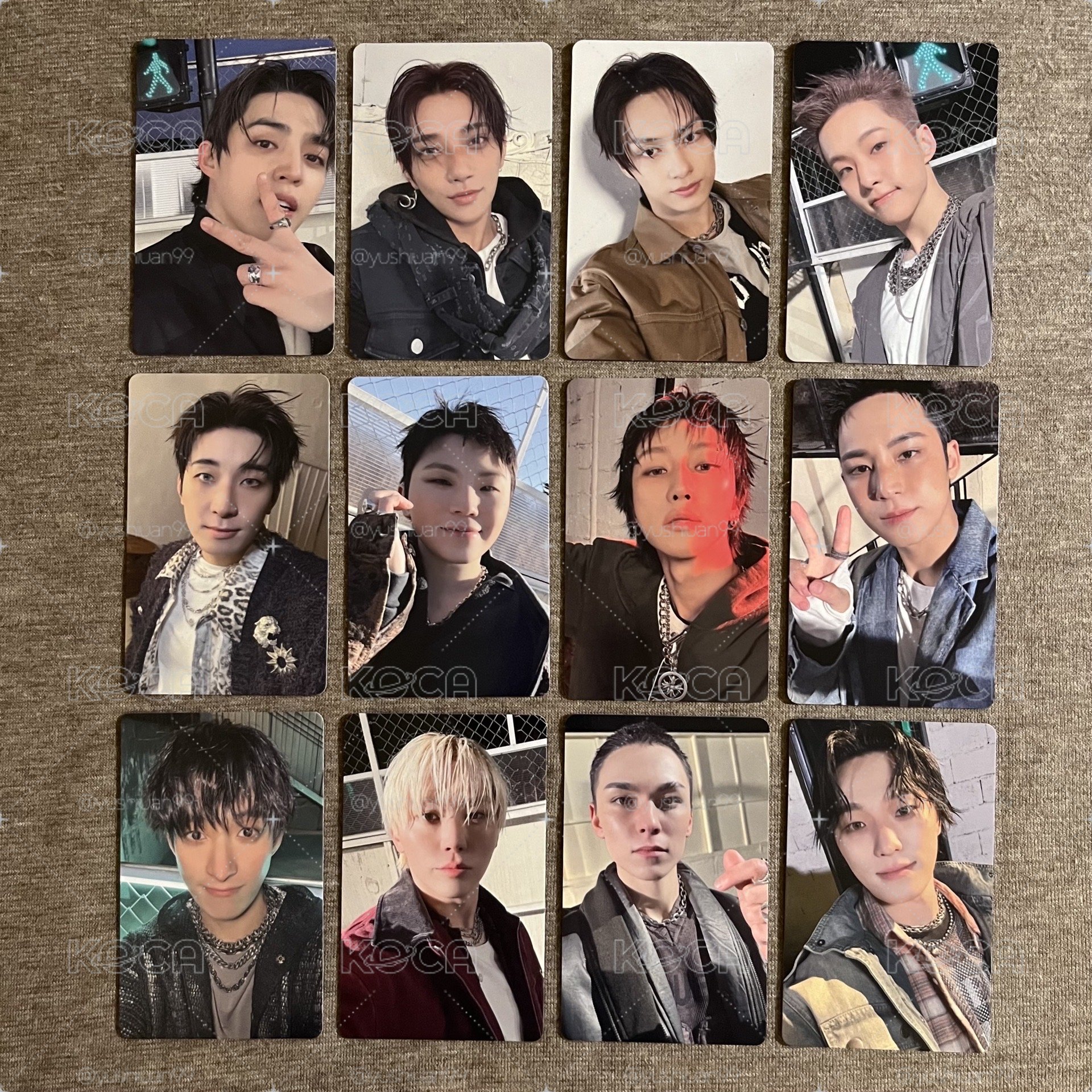 🩷正五場限 wvs 埼玉