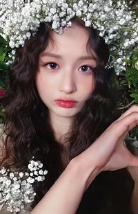 仲夏夜 阿拉丁 預售 特典卡 