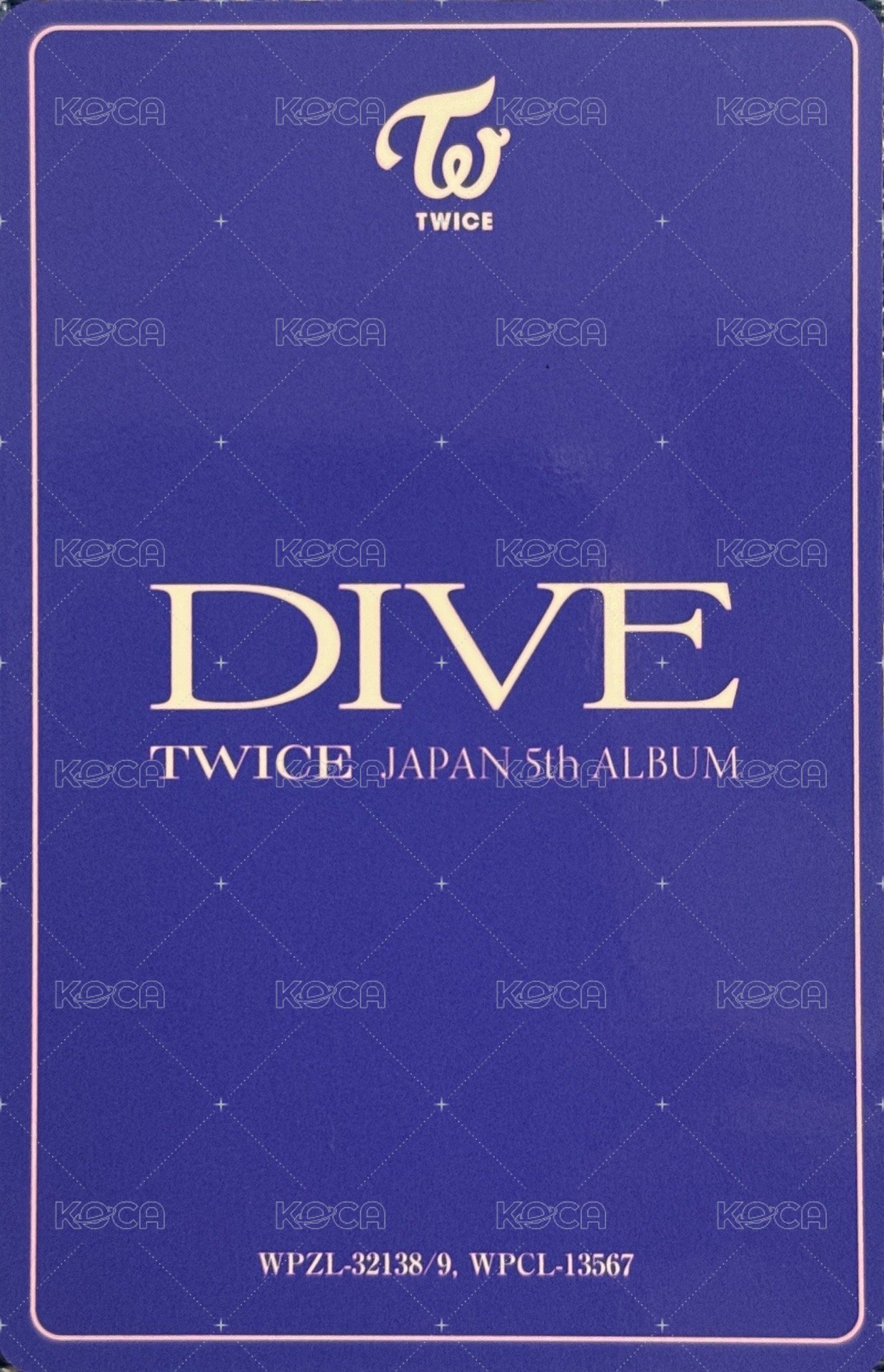 DIVE 專輯卡 AB盤共通 半身 志效 背面