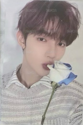 三期會員 會員禮卡  正面