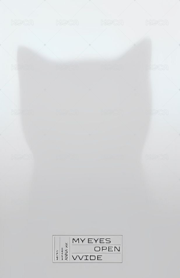 迷一 專輯卡 單封專卡 anna 背面