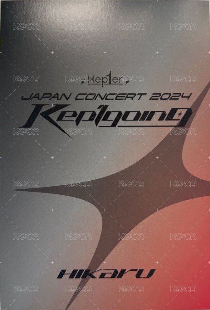 24'日巡 隨機卡  背面