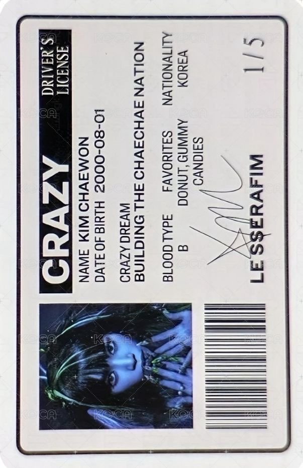 CRAZY 專輯卡 VOL.1 專卡 背面