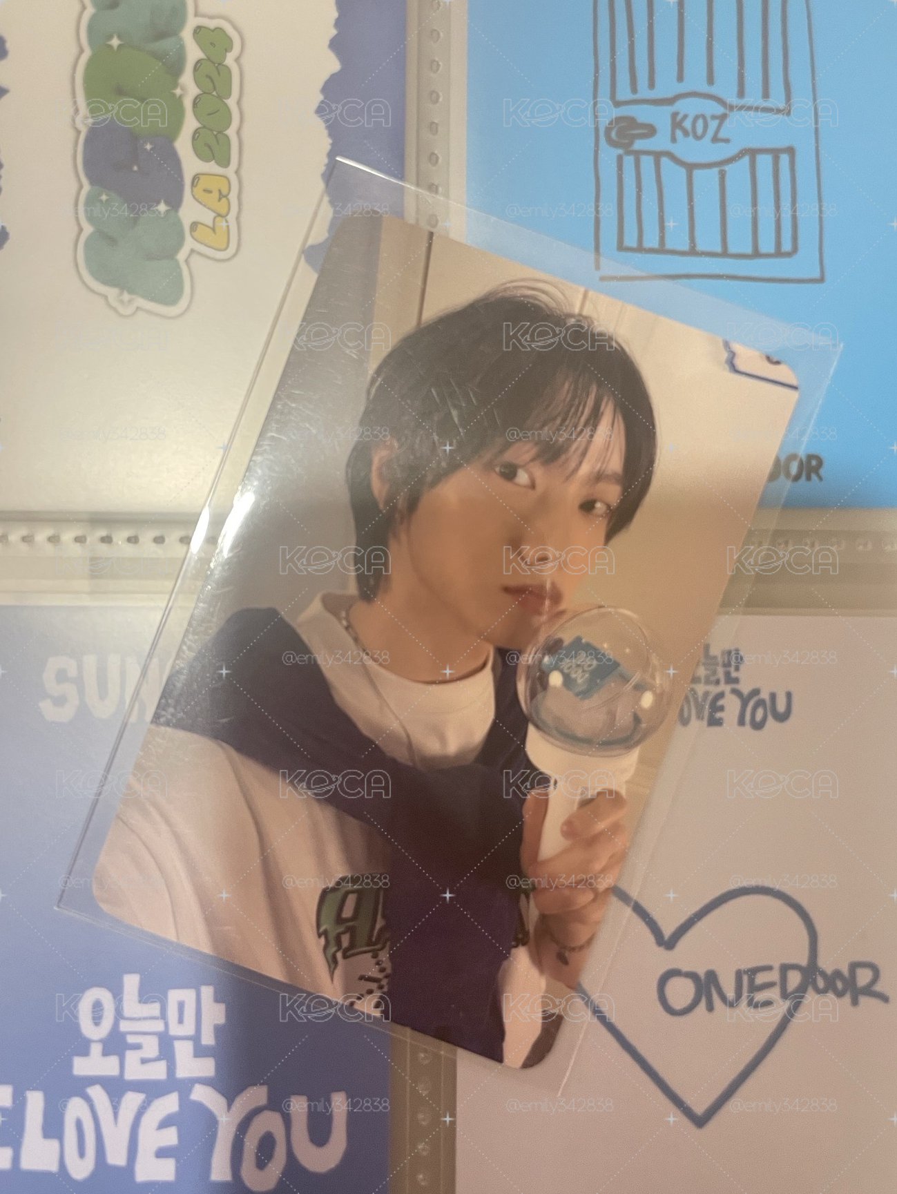 【BND】🐈飯咪粽1