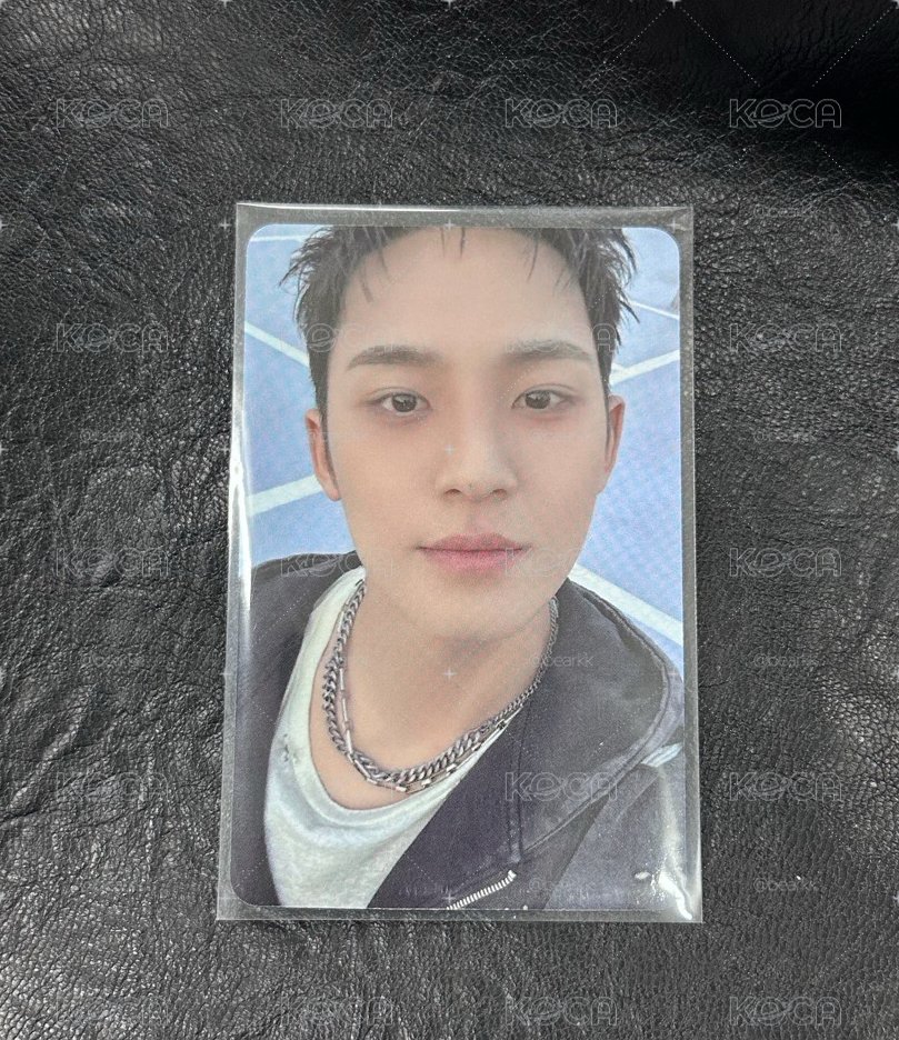 seventeen 金珉奎 正規五 oy特典