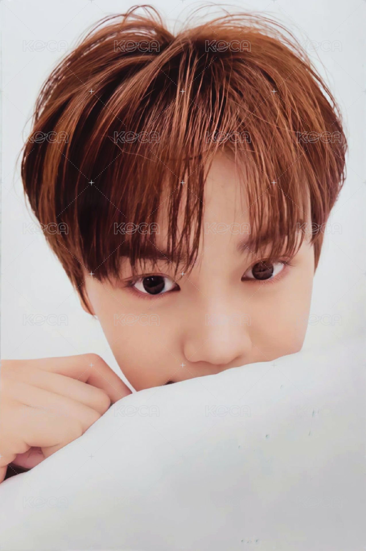 24'SG 周邊卡 夜燈卡 正面