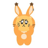 凱莉