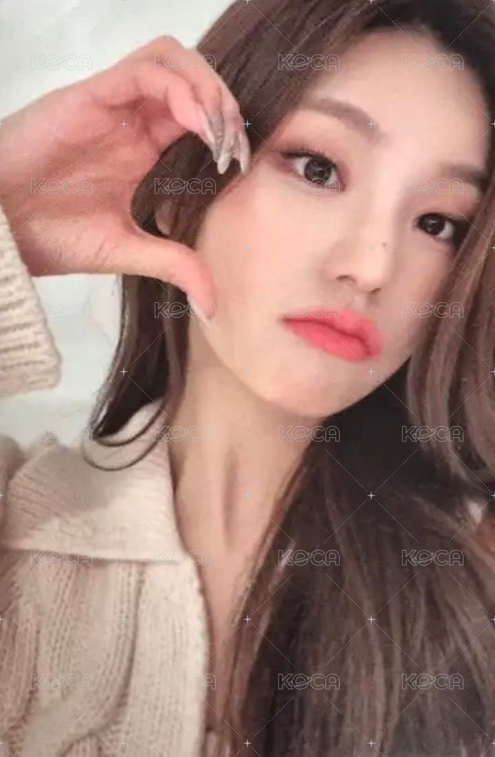 CHESHIRE wm 7.0 特典卡  正面