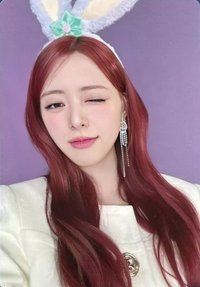 Algorhythm 塔店 幸運卡 