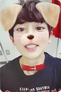 For Life 新那拉 專輯卡 狗狗燦